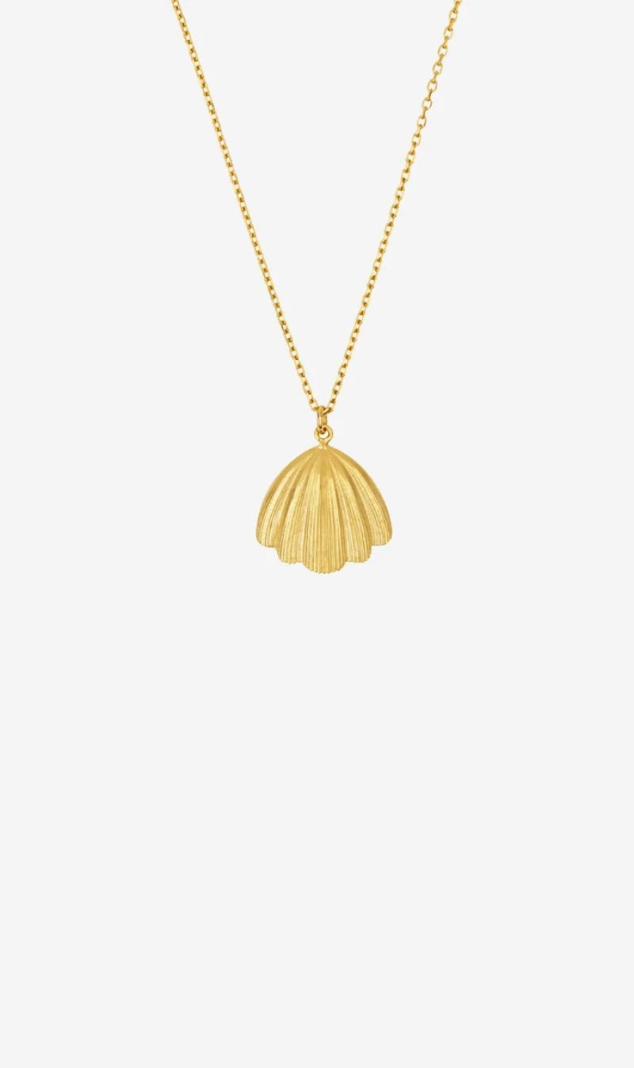 * Zoe & Morgan | Ariel Necklace 22K Plated | Jewellery